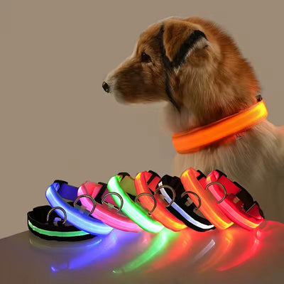 Pets Care