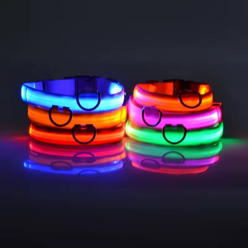 LED Glow Dog Safety Collar — Rechargeable, 8 Colors, All Sizes