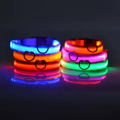 LED Glow Dog Safety Collar — Rechargeable, 8 Colors, All Sizes