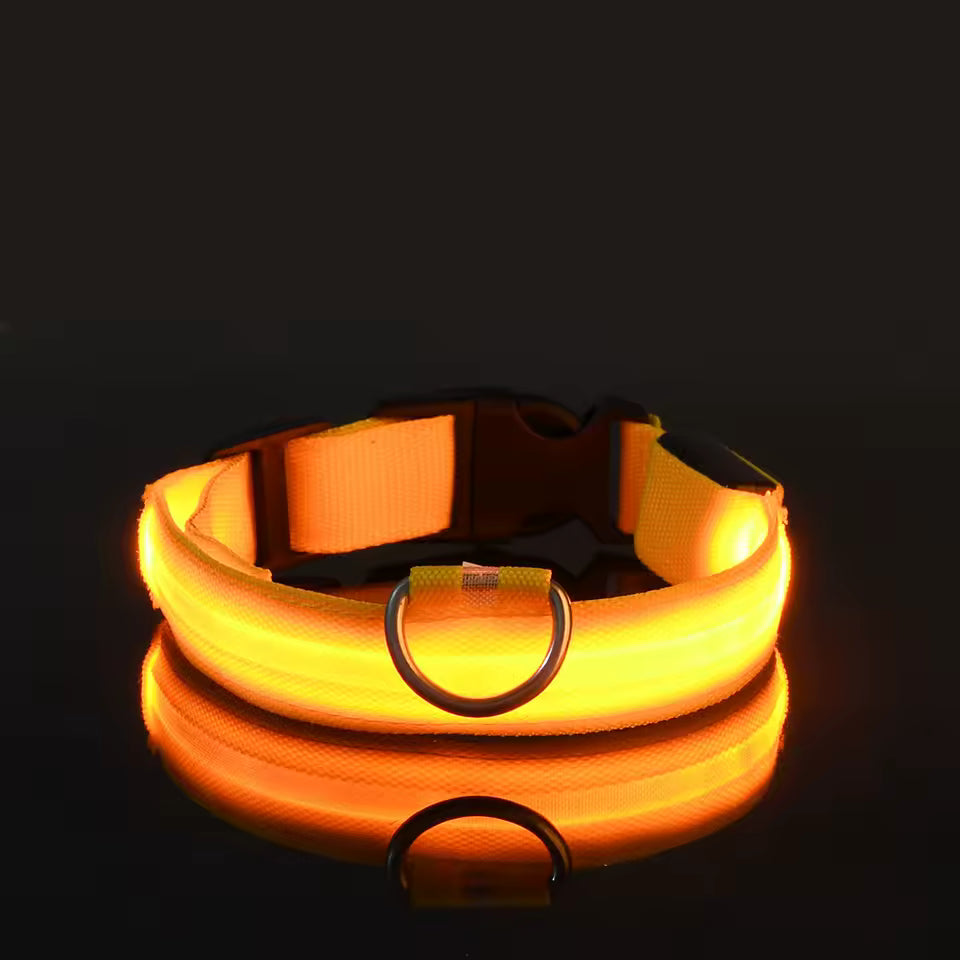 LED Glow Dog Safety Collar — Rechargeable, 8 Colors, All Sizes