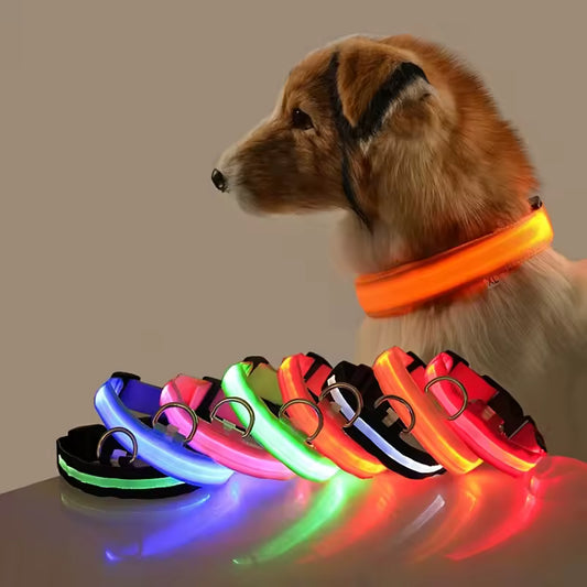 LED Glow Dog Safety Collar — Rechargeable, 8 Colors, All Sizes