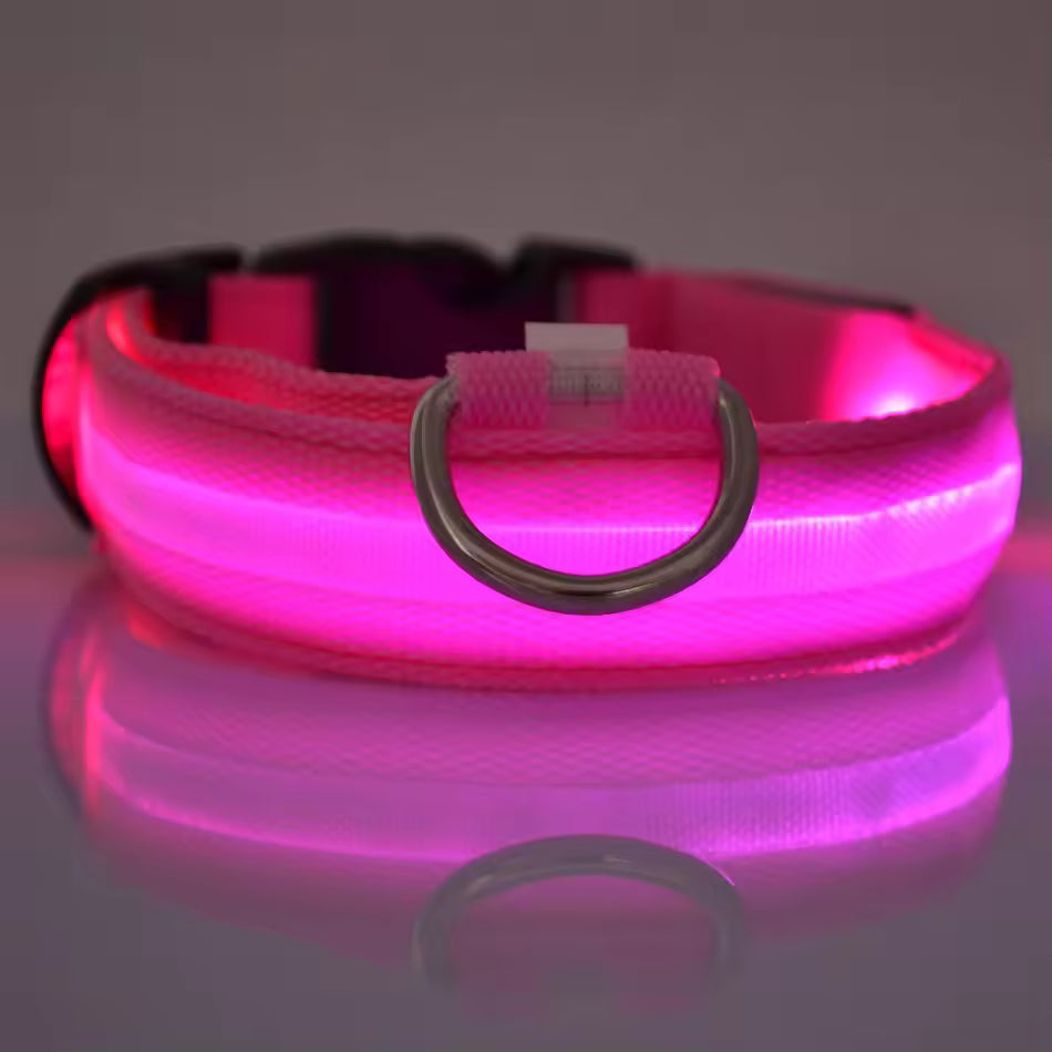 LED Glow Dog Safety Collar — Rechargeable, 8 Colors, All Sizes
