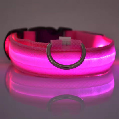 LED Glow Dog Safety Collar — Rechargeable, 8 Colors, All Sizes