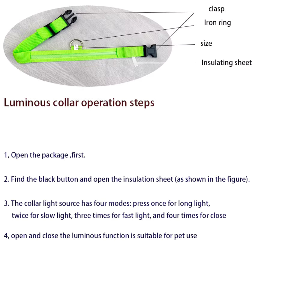 LED Glow Dog Safety Collar — Rechargeable, 8 Colors, All Sizes