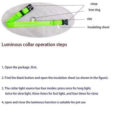 LED Glow Dog Safety Collar — Rechargeable, 8 Colors, All Sizes