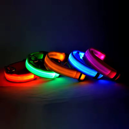 LED Glow Dog Safety Collar — Rechargeable, 8 Colors, All Sizes