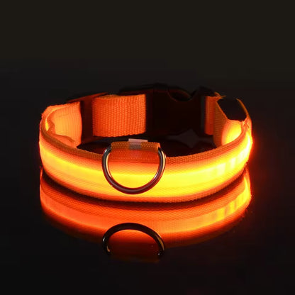 LED Glow Dog Safety Collar — Rechargeable, 8 Colors, All Sizes