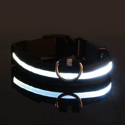LED Glow Dog Safety Collar — Rechargeable, 8 Colors, All Sizes