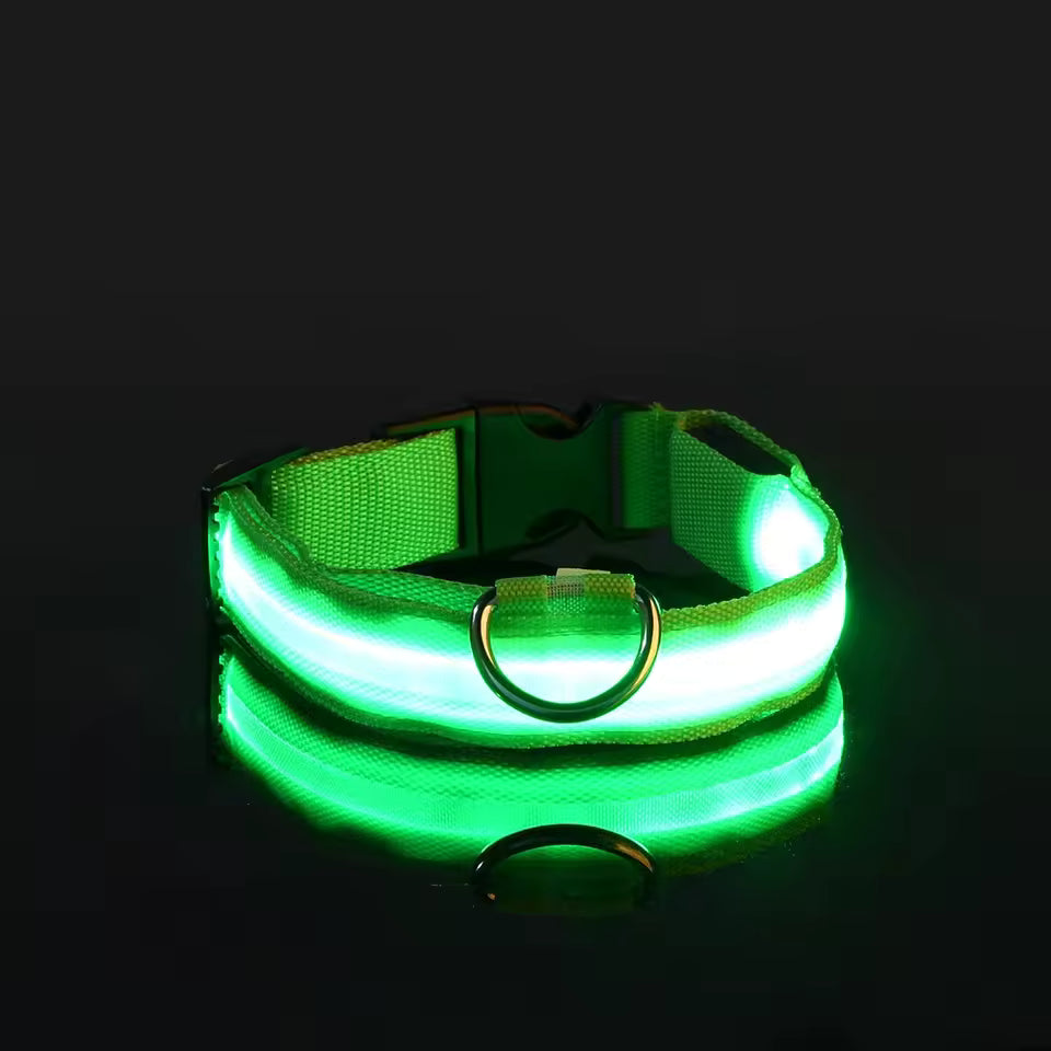 LED Glow Dog Safety Collar — Rechargeable, 8 Colors, All Sizes