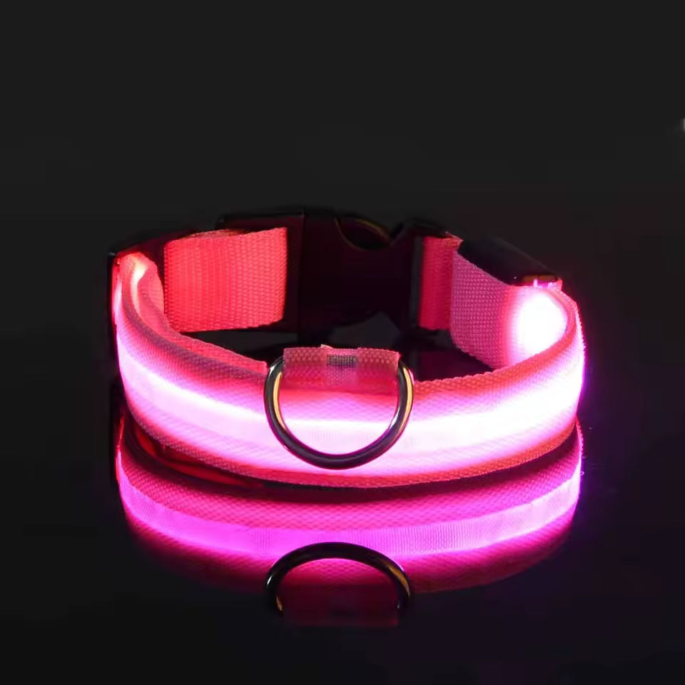 LED Glow Dog Safety Collar — Rechargeable, 8 Colors, All Sizes
