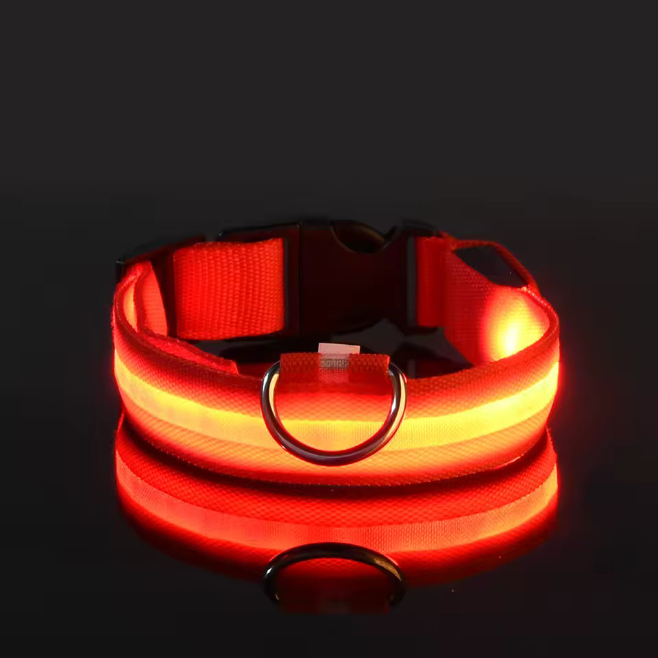 LED Glow Dog Safety Collar — Rechargeable, 8 Colors, All Sizes